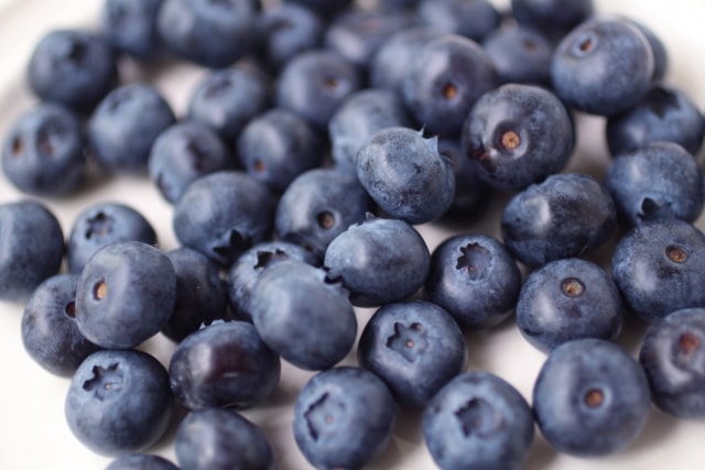 ブルーベリーの日