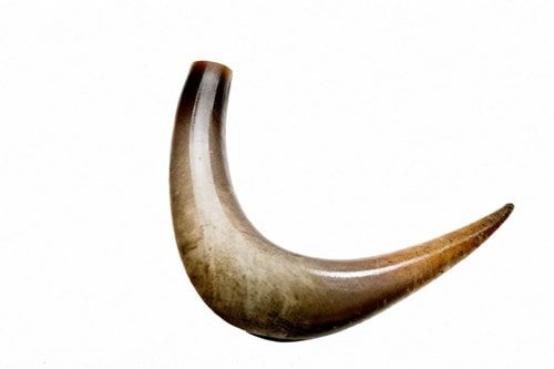 2月21日の誕生石　角（ホーン）