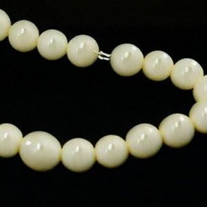 8月22日の誕生石　ホワイト・コーラル（白珊瑚）