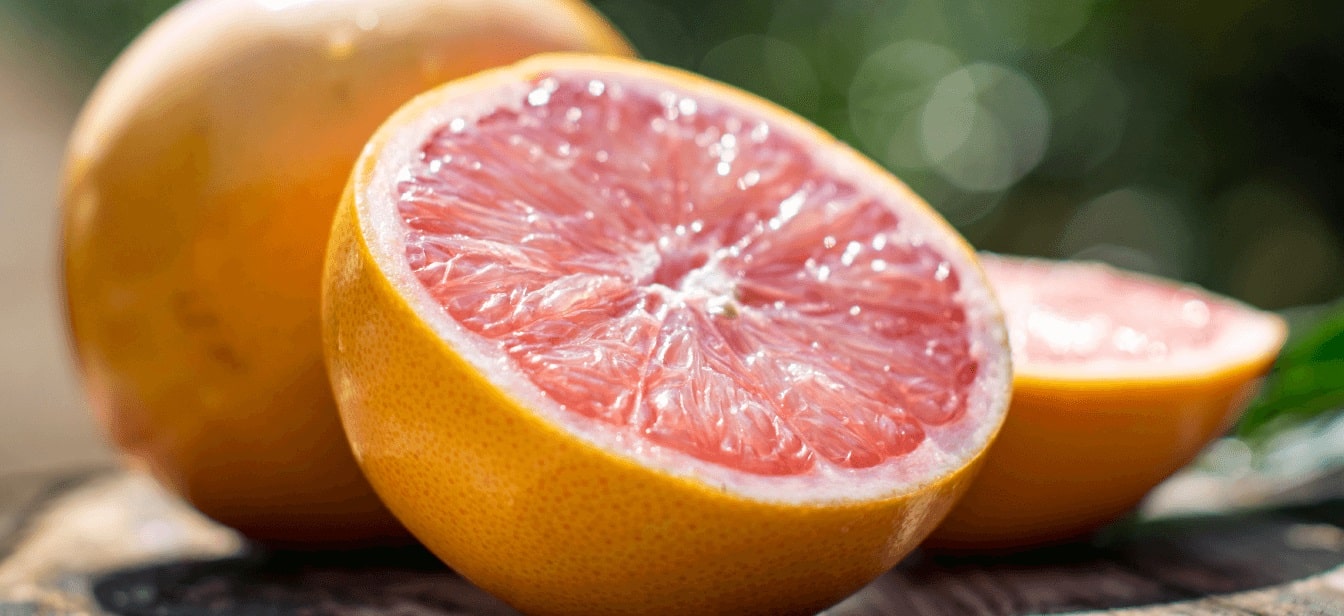 フロリダグレープフルーツの日