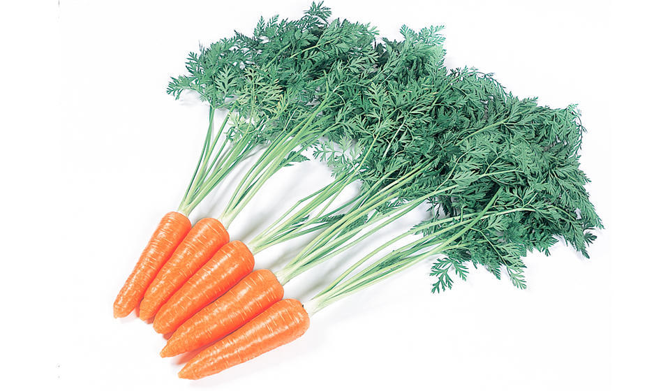 徳島県にんじんの日