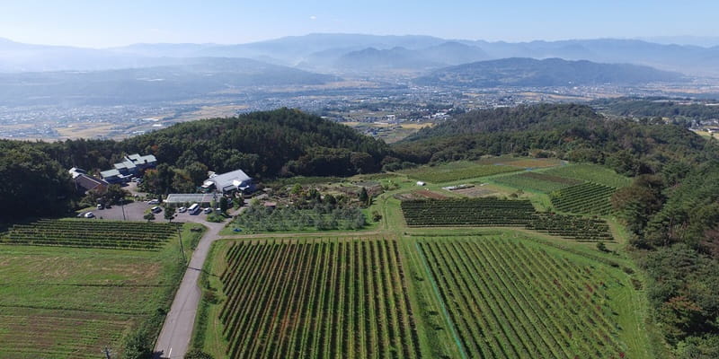 ヴィラデスト・田園記念日