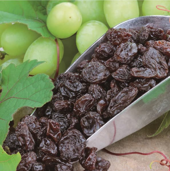 カリフォルニア・レーズンデー