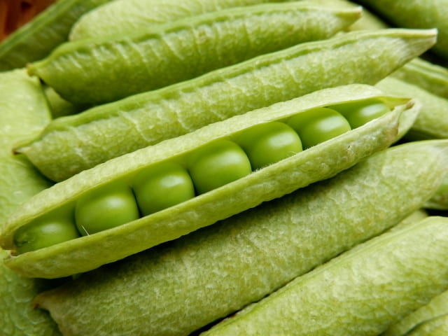 うすいえんどうの日