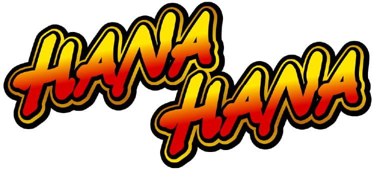 パチスロ・ハナハナの日