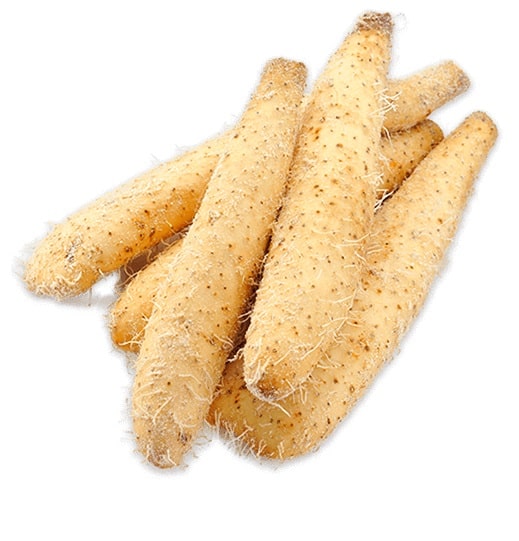 根張星（ねばりスター）の日