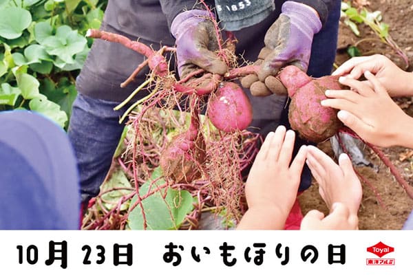 おいもほりの日