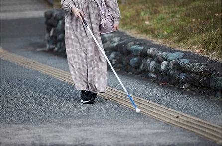 白杖の日
