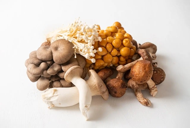 長野県きのこの日