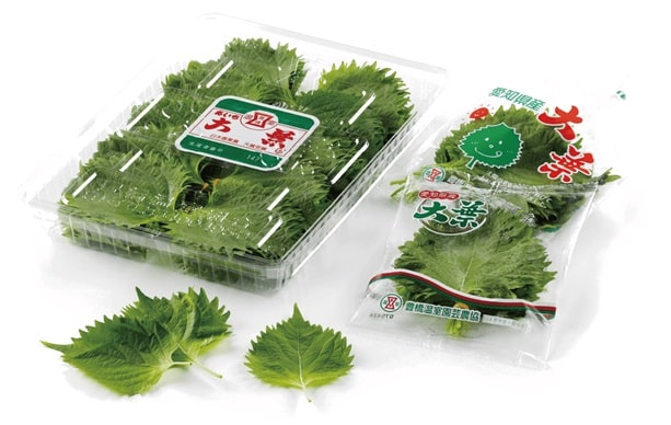 豊橋「つまもの」の日